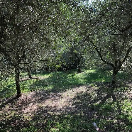 Villa Casa Costanza Larciano