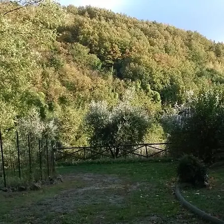 Casa Costanza *
